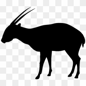Transparent Goat Silhouette Png - Saola Silhouette, Png Download - goat silhouette png