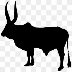 Clipart Zebu, HD Png Download - goat silhouette png