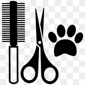 Pets Hair Salon Tools Kit - Dog Grooming Tools Png, Transparent Png - tools.png