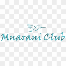 Mnarani - Art School, HD Png Download - act logo png