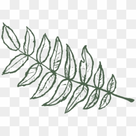 Lhl - Leaf - Instaleft - Drawing, HD Png Download - yam festival png