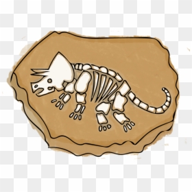 Fossil Clipart Horse Skeleton - Transparent Dinosaur Fossils Clipart, HD Png Download - fossils png