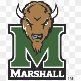 Marshall Herd, HD Png Download - marshall logo png