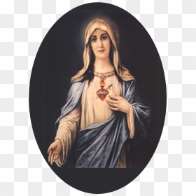 Novena To The Immaculate Heart Of Mary - Mary And Her Knights, HD Png Download - knights of columbus png