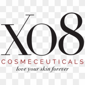 Xo8 Logo, HD Png Download - starter logo png