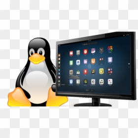 Linux And Windows Logo, HD Png Download - kali linux png