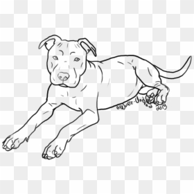 Dog Breed Puppy American Pit Bull Terrier - Staffordshire Bull Terrier Drawing, HD Png Download - dog leg png
