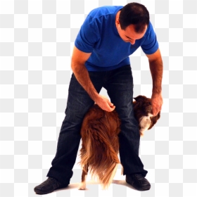 Sitting, HD Png Download - dog leg png