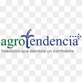 Blue Cross Blue Shield, HD Png Download - firma png transparente