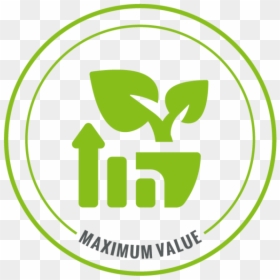 Maximum-value - Graphic Design, HD Png Download - orchard png