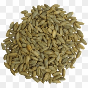 Rye Grain 100% Organic"   Title="rye Grain 100% Organic"   - Sunflower Seed, HD Png Download - rye png