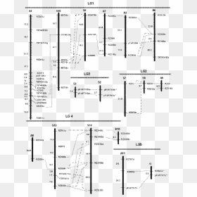Diagram, HD Png Download - alamo png