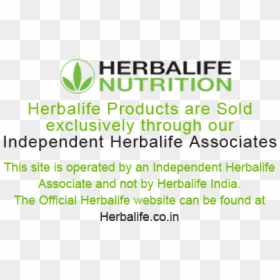 Herbalife, HD Png Download - herbalife shake png