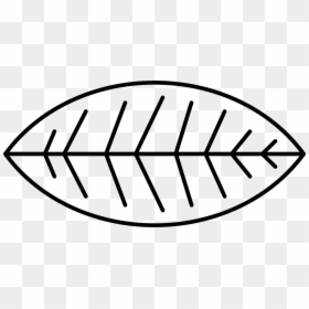 Circle, HD Png Download - bush png