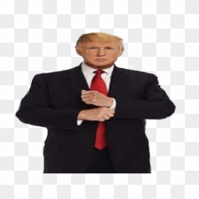 Transparent Donald Trump Body, HD Png Download - donald trump png