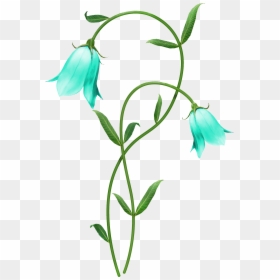 Lily Of The Valley Bud Drawing, HD Png Download - thoranam images png