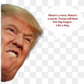 Donald Trump Scrunched Face, HD Png Download - donald trump png
