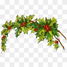 Christmas Holly Border Png, Transparent Png - merry christmas png