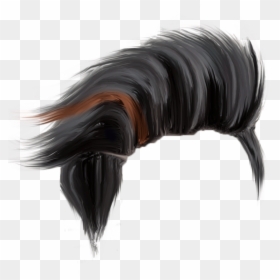Cb Hair Png Download, Transparent Png - png background