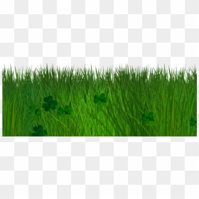 Green Grass Transparent Background, HD Png Download - png background