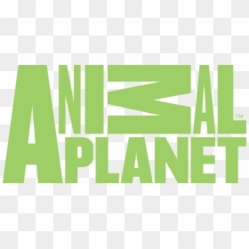 Animal Planet Channel Logo, HD Png Download - planet png