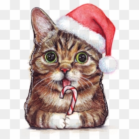 Cat With Christmas Hat Drawing, HD Png Download - christmas hat png