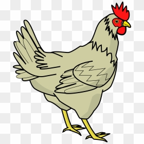 Chicken Clipart, HD Png Download - chicken png