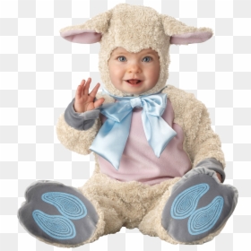 Infant Lamb Halloween Costume, HD Png Download - baby png