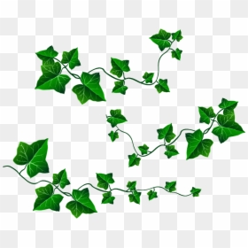 Clipart Vines And Leaves, HD Png Download - vines png