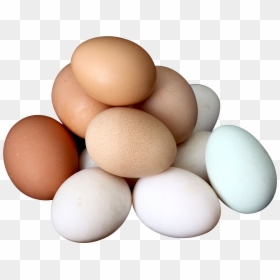 Eggs Png, Transparent Png - egg png