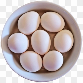 Egg Png, Transparent Png - egg png