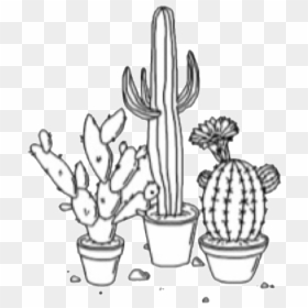 Aesthetic Black And White Outline, HD Png Download - cactus png