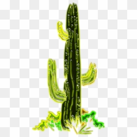 Cactus Del Desierto Dibujo Gratis, HD Png Download - cactus png