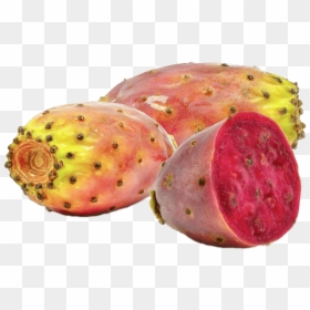 Moroccan Prickly Pear Seed Oil, HD Png Download - cactus png