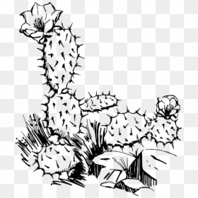 Clip Art Black And White Cactus, HD Png Download - cactus png