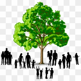 Family Tree Reunion Logo, HD Png Download - family png