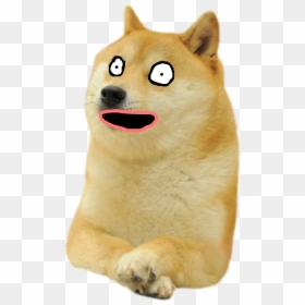 Fang, HD Png Download - mlg png
