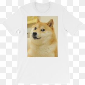Post Ironic Doge Memes, HD Png Download - doge png