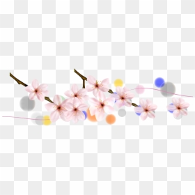 Cherry Blossom, HD Png Download - cherry blossom petals png