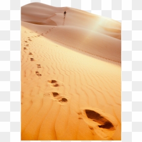Footprints In Desert Sand, HD Png Download - desert png