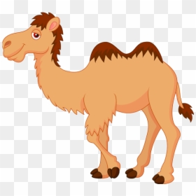 Camel Clipart, HD Png Download - desert png