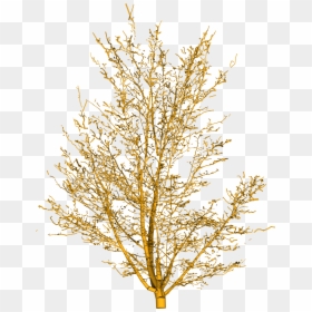 Branch Png Yellow, Transparent Png - desert png