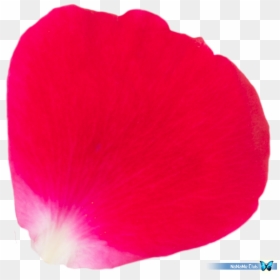 Hollyhocks, HD Png Download - flower petals png