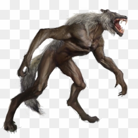 Illustration, HD Png Download - werewolf png