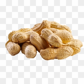 Transparent Background Nut Transparent, HD Png Download - peanut butter png