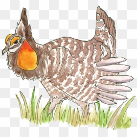 Stranger Than Bigfoot - Turkey, HD Png Download - bigfoot png