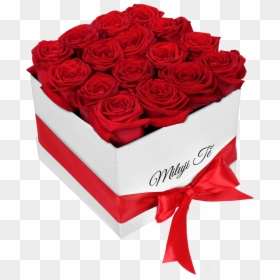 Rosas Para El 14 De Febrero, HD Png Download - white box png