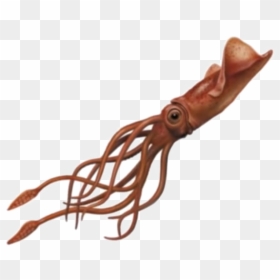 Giant Squid Png, Transparent Png - squid png