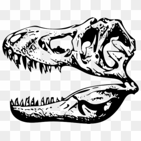 T Rex Skull Clip Art, HD Png Download - trex png