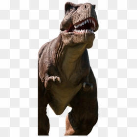 Tiranossauro Rex Sem Fundo, HD Png Download - vhv